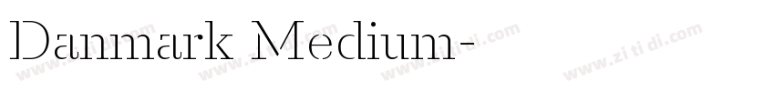 Danmark Medium字体转换